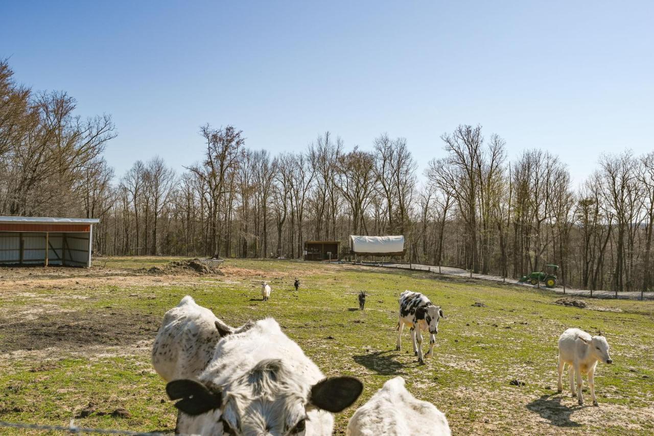 Ultimate Covered Wagon Pioneers Paradise Brownsville Exterior foto